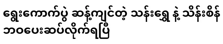 Than Shwe and Thein Sein who opposed the election have paid with their lives