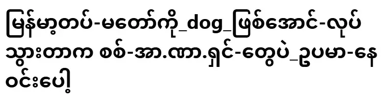 It was the military dictators who made the Myanmar Army like this, for example Ne Win
