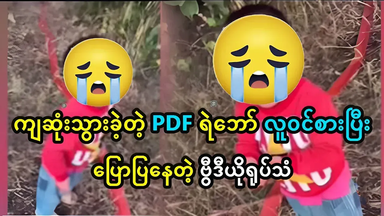 PDF Comrade Reincarnated as a Human Being Video