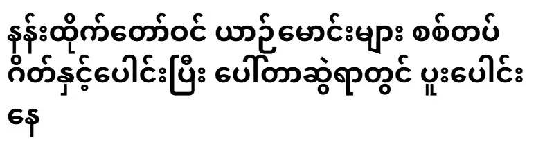 Royal drivers joined the military gate and joined the porters