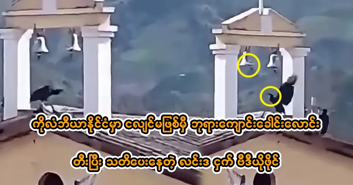 A bird ringing a church bell before an earthquake in Colombia.