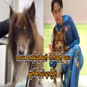 Taichito, who was so loved by my mother, has lost her sight