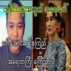 Mother Daw Aung San Suu Kyi has announced important news