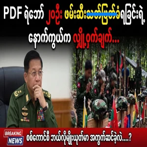 PDF on the secrets behind 20 comrades
