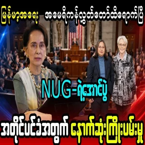 The issue of Myanmar has reached the United States House of Representatives