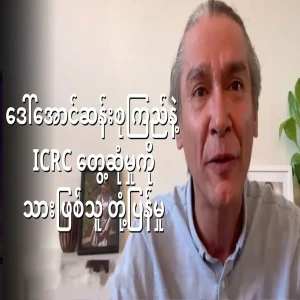 Aung San Suu Kyi's son's reaction to the ICRC meeting