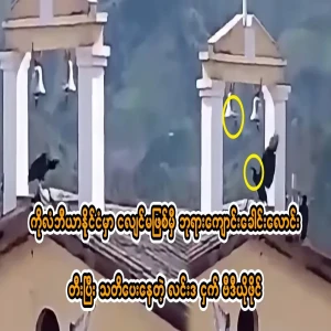 A bird ringing a church bell before an earthquake in Colombia.