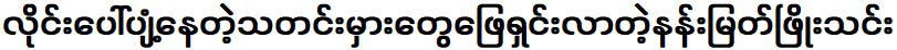 လိုင်းပေါ်ပျံ့နေတဲ့သတင်းမှားတွေဖြေရှင်းလာတဲ့နန်းမြတ်