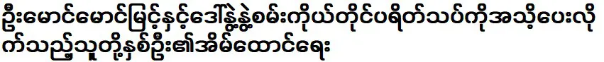 U Maung Maung Myint and Daw Nu Nu Nu tried to introduce themselves to the price