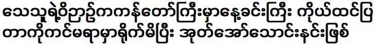 ฉันถ่ายรูปสิ่งที่ฉันคิดว่ากำลังทำอยู่ในช่วงบ่ายที่ทะเลสาบ