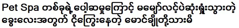 พี่ชายที่รักของฉันฉันขอโทษ