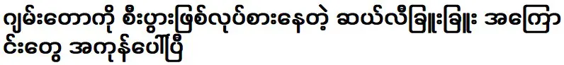 เกี่ยวกับ สาลิ ชู ชู ที่ทำการค้าขายจำตอ