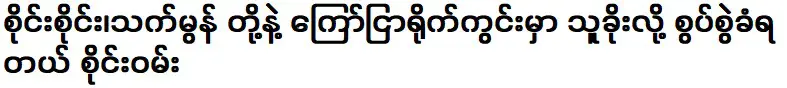 ไซซึงถูกกล่าวหาว่าขโมยภาพโฆษณากับไซไซและเทศมน