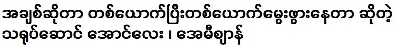 อองเลย์ เอมี่ชาน นักแสดงที่เกิดมาทีละคน