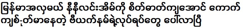 การกระทำของเวียดนามปรากฏที่บ้านของนางสาวนินีลิน