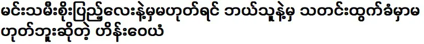 Actor Hein Wayan said that no one would be in the news if it wasn't for Princess Soe Pyae