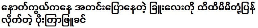 ผีเสื้อสีขาวพูดแตะเด็กหญิงตัวเล็ก ๆ