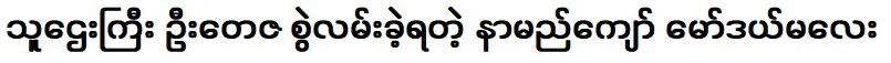 นักแสดงสาวแสนสวยที่ร่วมงานกับมหาเศรษฐีอูแทซา