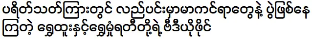 วิดีโอที่แฟนๆ ของชเว ทูและชเว ทูทะเลาะกัน