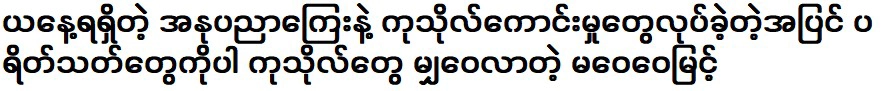 หม่า เว่ย เว่ย มิ้นต์ ผู้ทำความดีด้วยเงินศิลปะที่ได้รับมาในวันนี้