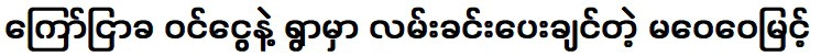 หม่าเว่ยเว่ยมิ้นต์ผู้อยากปูถนนในหมู่บ้าน