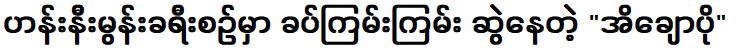 การเดินทางที่สนุกสนานของอิโชโป