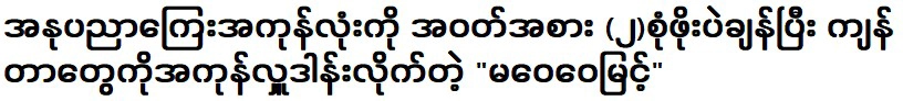 หม่า ไหว เหว่ย มยิน ผู้บริจาคค่างานศิลปะทั้งหมด