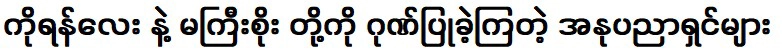 ศิลปินที่ให้เกียรติโกยันเลและมาโซ่