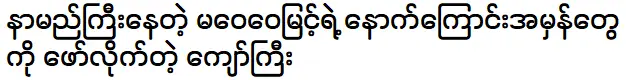 จ่อจี เปิดเผยเบื้องหลังที่แท้จริงของ มา เว่ย เว่ย มยิน ผู้โด่งดัง