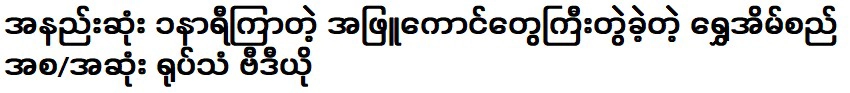 อย่างน้อยก็ได้ถ่ายวีดีโอบ้านชเว