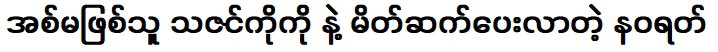 นวรัตน์แนะนำให้เธอรู้จักกับทาซินโกพี่สาวของเธอ