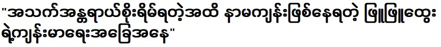 Phyu Phyu Htwe informed about the current situation through a video