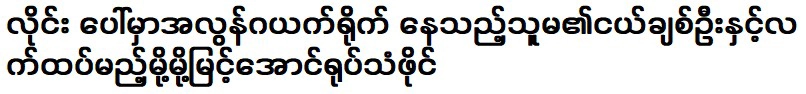 Actress Mo Mo Myint Aung's current artistic activities