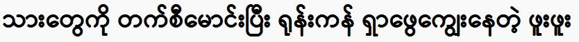 Phu Phu is struggling to find and feed his sons by taxi