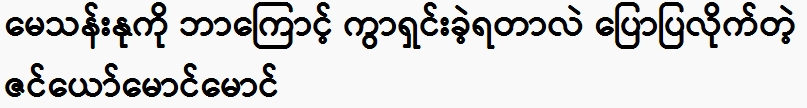 Zin Ye Maung Maung told why May Than Nu