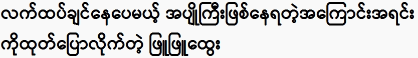 Phyu Phyu Htwe who revealed the reason for being an old woman