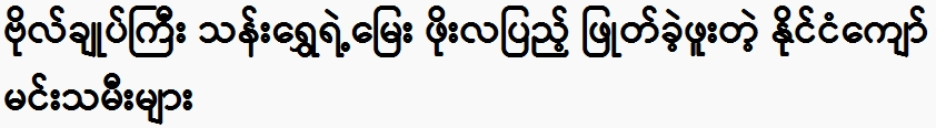 General Than Shwe's grandson, Po La Penu, famous national actresses