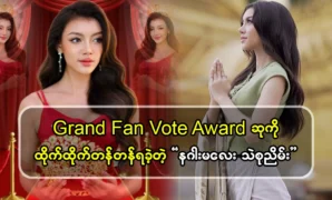 Grand Fan Vote Award won the dragon girl Si Su Nayim 