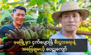 Wailu Kyaw, who grows and sells banana farms in May 