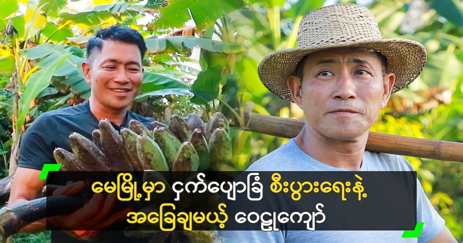 Prince Wai Lu Kyaw grows and sells bananas in Pyin Oo Lwin. 