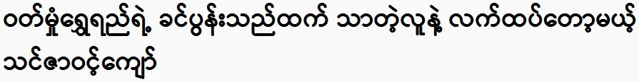 Thinzar Wint Kyaw, a man better than the Wutt Hmone Shwe Yi of the cloth